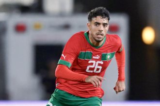 شادي رياض