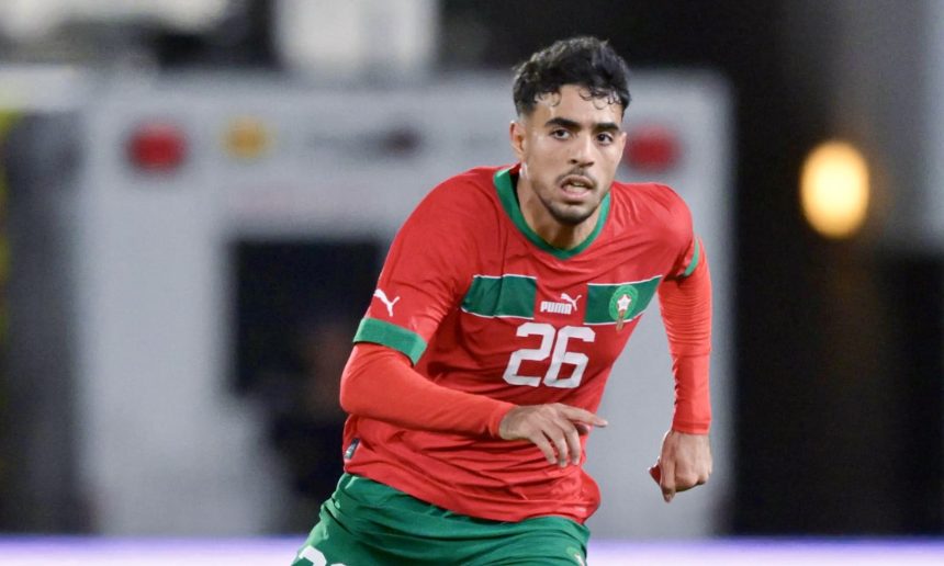 شادي رياض