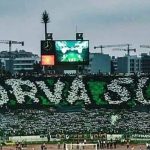 جماهير الرجاء الرياضي